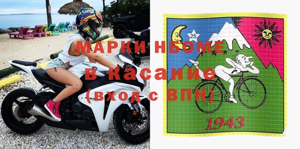 гашик Алексин