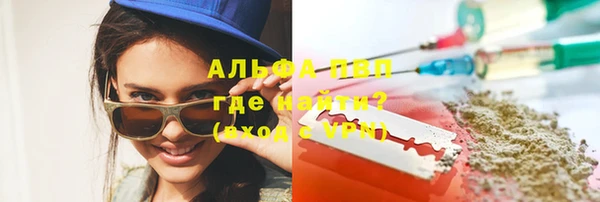 гашик Алексин