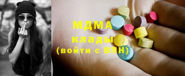 гашик Алексин