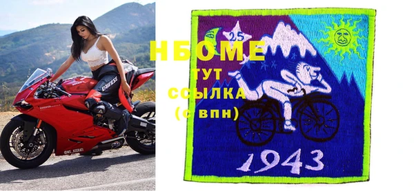 гашик Алексин
