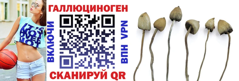 Псилоцибиновые грибы мицелий  Всеволожск 