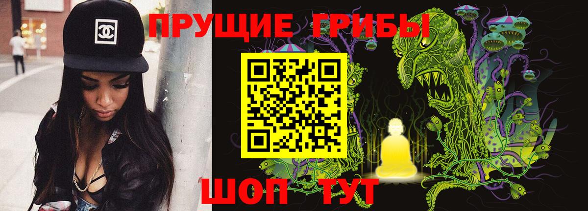Галлюциногенные грибы Psilocybe Всеволожск