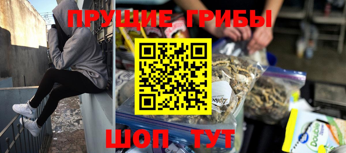 Галлюциногенные грибы GOLDEN TEACHER  Вход с VPN  Псилоцибиновые грибы ЛСД  Всеволожск 